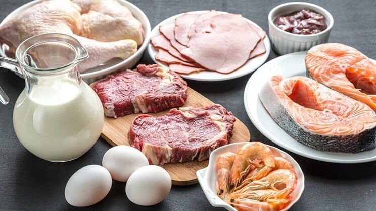 approved foods for a protein diet